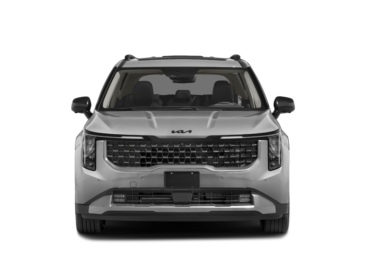 2025 Kia Carnival SX Prestige - Photo 31