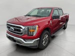 2022 Ford F-150 CREW CAB