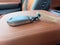 2025 Kia Carnival EX FWD